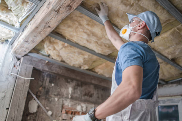 Best Attic Insulation Installation  in Ashland, KY