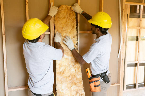Best Professional Insulation Contractor  in Ashland, KY